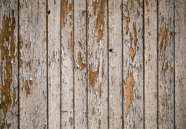 Mass Image Compressor Compressed this image. https://sourceforge.net/projects/icompress/ with Quality:80